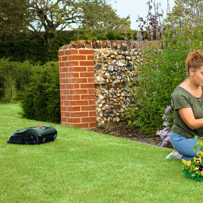 Tondeuse robot BOSCH Indego XS 300 – Image 4
