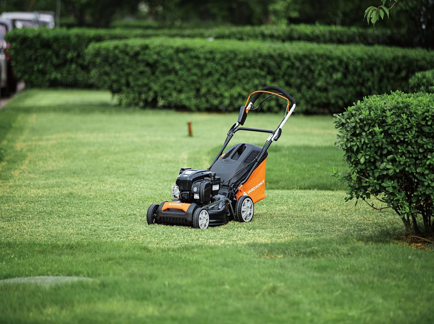 Yard Force Tondeuse à gazon Thermique autopropulsée 125cc de 46cm avec Moteur à essence Briggs & Stratton 450E Series GM B46CK – Image 2