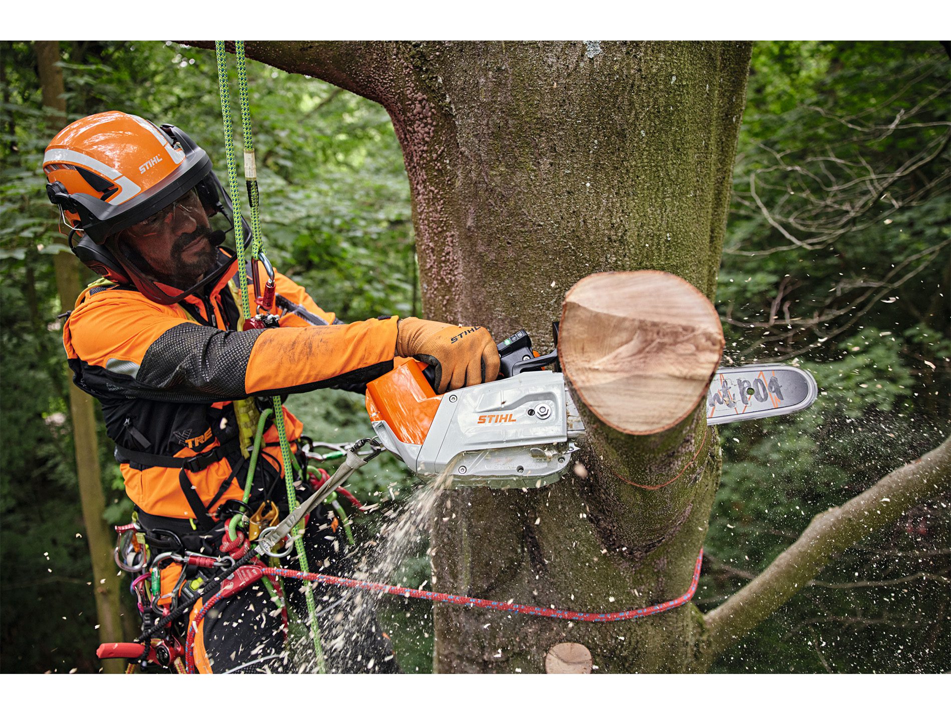 Tronçonneuse à batterie STIHL MSA 220 TC-O L.35cm 36V – Image 6